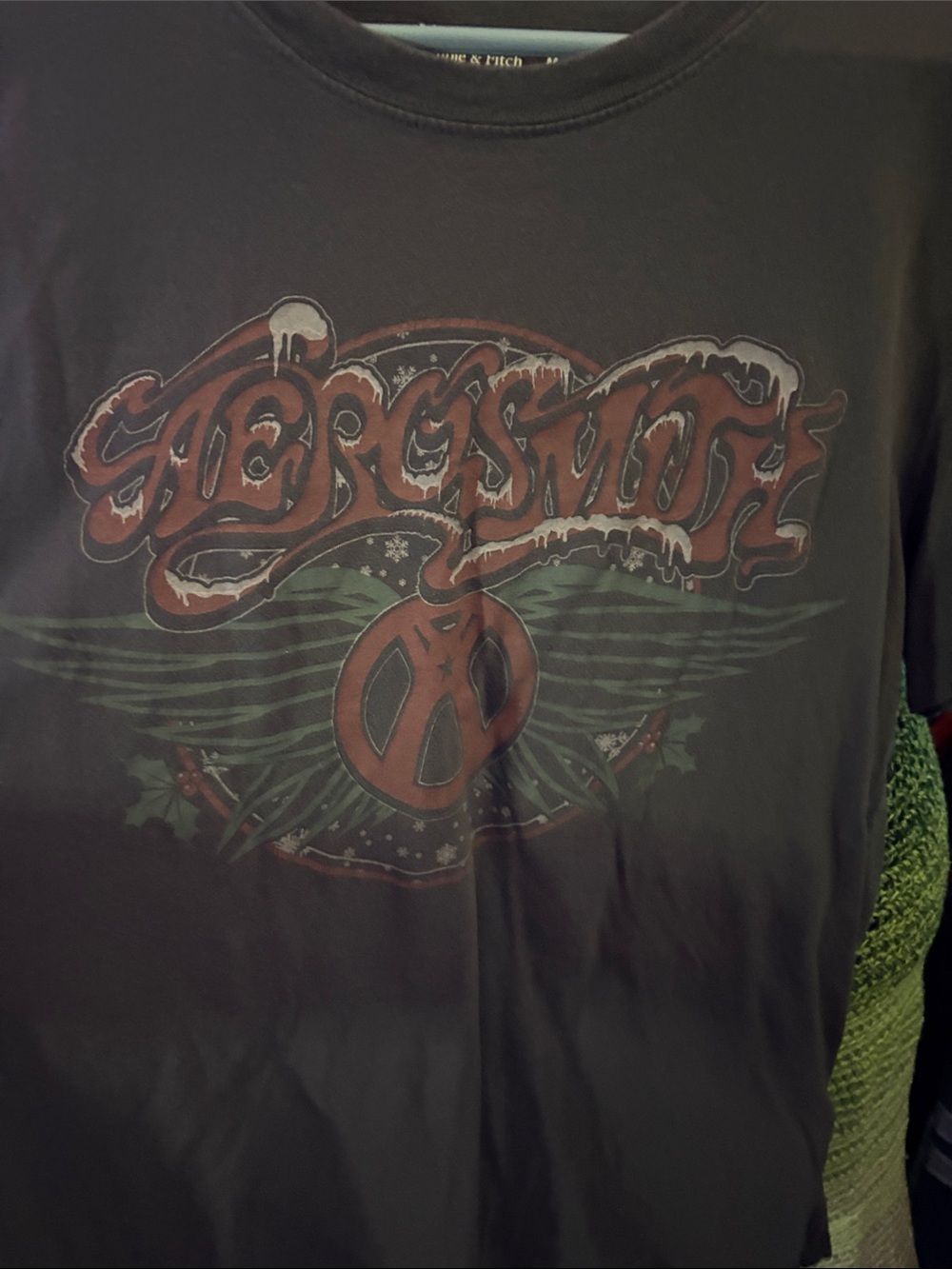 Abercrombie & Fitch Black Tee with Red and Green Graphic